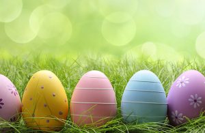 colorful Easter Eggs in green grass