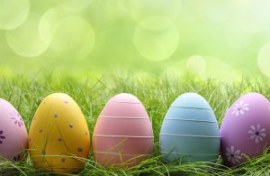 colorful Easter Eggs in green grass