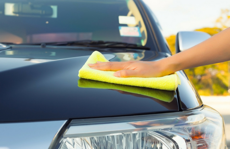 Quick Ways to Get Bird Poop Off Your Car