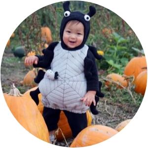 Little Boy in a Spider Costume in a Pumpkin Patch