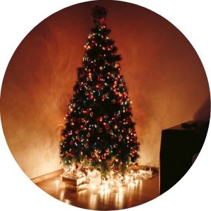 Lit Christmas Tree in the Dark