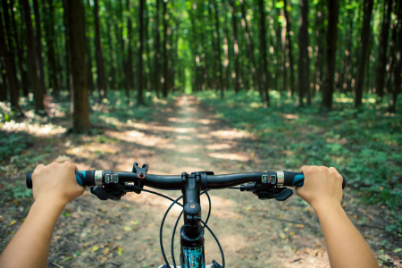 POV of boy on mountain bike looking at trail surrounded by trees