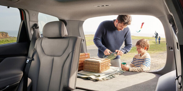 2020 Hyundai Santa Fe Interior Cabin Cargo Area Seats Folded Tailgate Open with Family