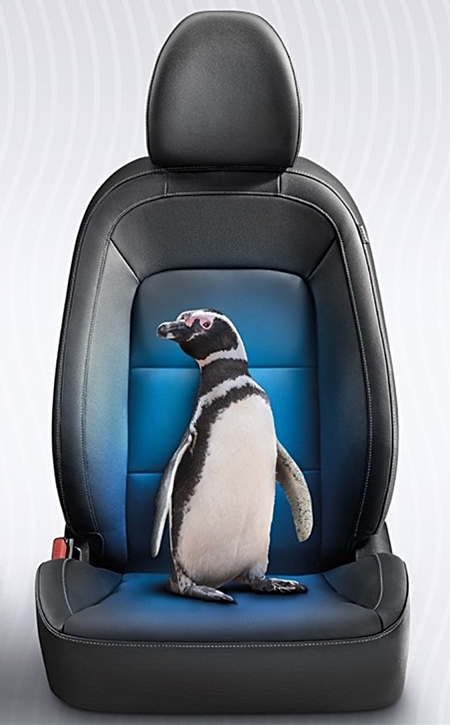 2018 Kia Forte seat with a penguin