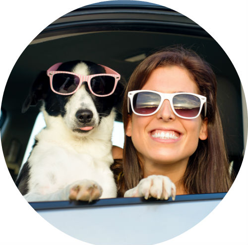 girl and dog wearing sunglasses looking out car window