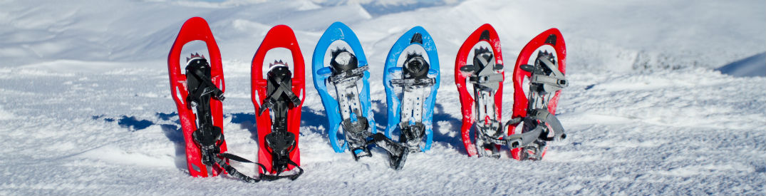 red and blue snowshoes sticking out of the snow