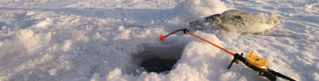 An open ice fishing hole with a pole and fish set next to it